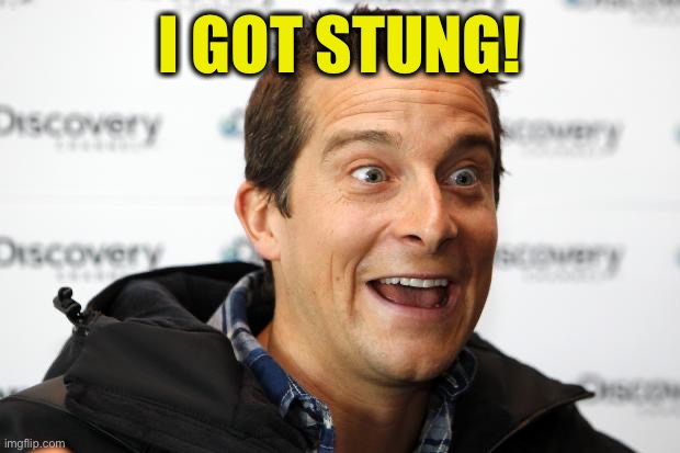 Bear Grylls Approved Food | I GOT STUNG! | image tagged in bear grylls approved food | made w/ Imgflip meme maker