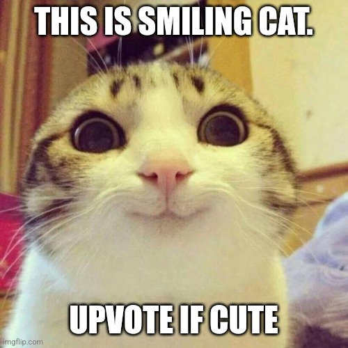 Smiling Cat Meme | THIS IS SMILING CAT. UPVOTE IF CUTE | image tagged in memes,smiling cat | made w/ Imgflip meme maker
