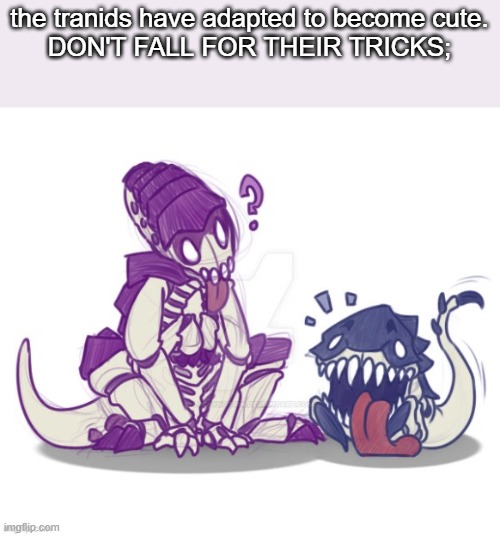 the tranids have adapted to become cute.
DON'T FALL FOR THEIR TRICKS; | made w/ Imgflip meme maker