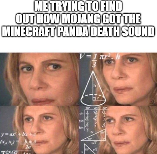 syiil scary/weird | ME TRYING TO FIND OUT HOW MOJANG GOT THE MINECRAFT PANDA DEATH SOUND | image tagged in math lady/confused lady,mojang,minecraft | made w/ Imgflip meme maker