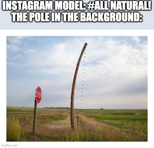 Inspired by rattlemebones's meme | INSTAGRAM MODEL: #ALL NATURAL!
THE POLE IN THE BACKGROUND: | image tagged in coronavirus | made w/ Imgflip meme maker