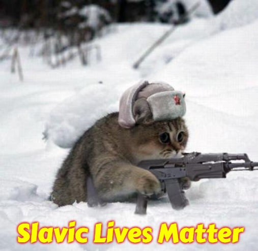 Cute Sad Soviet War Kitten | Slavic Lives Matter | image tagged in cute sad soviet war kitten,slavic,slm,blm,freddie fingaz | made w/ Imgflip meme maker