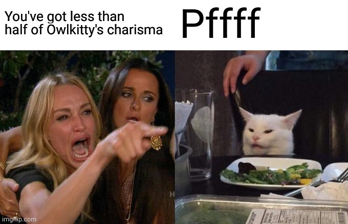 Woman Yelling At Cat Meme | You've got less than half of Owlkitty's charisma Pffff | image tagged in memes,woman yelling at cat | made w/ Imgflip meme maker