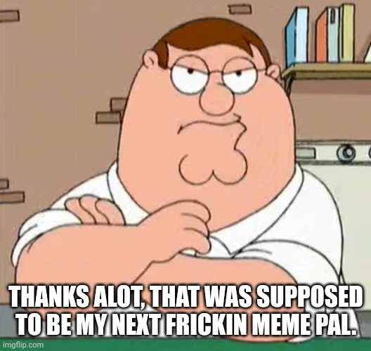 THANKS ALOT, THAT WAS SUPPOSED TO BE MY NEXT FRICKIN MEME PAL. | made w/ Imgflip meme maker