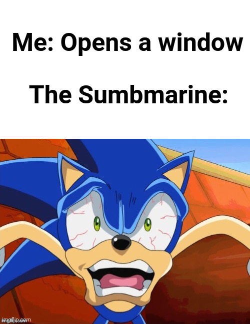 w a t | Me: Opens a window; The Sumbmarine: | image tagged in sonic scared face,dank memes | made w/ Imgflip meme maker