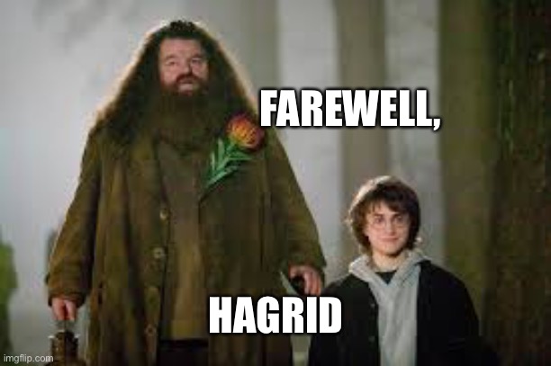 Bye… ? | HAGRID; FAREWELL, | image tagged in hagrid | made w/ Imgflip meme maker
