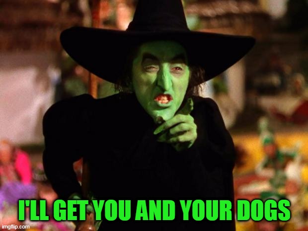 wicked witch  | I'LL GET YOU AND YOUR DOGS | image tagged in wicked witch | made w/ Imgflip meme maker