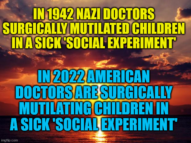 Sunset |  IN 1942 NAZI DOCTORS SURGICALLY MUTILATED CHILDREN IN A SICK 'SOCIAL EXPERIMENT'; IN 2022 AMERICAN DOCTORS ARE SURGICALLY MUTILATING CHILDREN IN A SICK 'SOCIAL EXPERIMENT' | image tagged in sunset | made w/ Imgflip meme maker