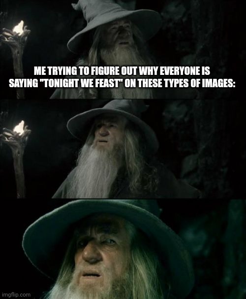 Confused Gandalf Meme | ME TRYING TO FIGURE OUT WHY EVERYONE IS SAYING "TONIGHT WE FEAST" ON THESE TYPES OF IMAGES: | image tagged in memes,confused gandalf | made w/ Imgflip meme maker