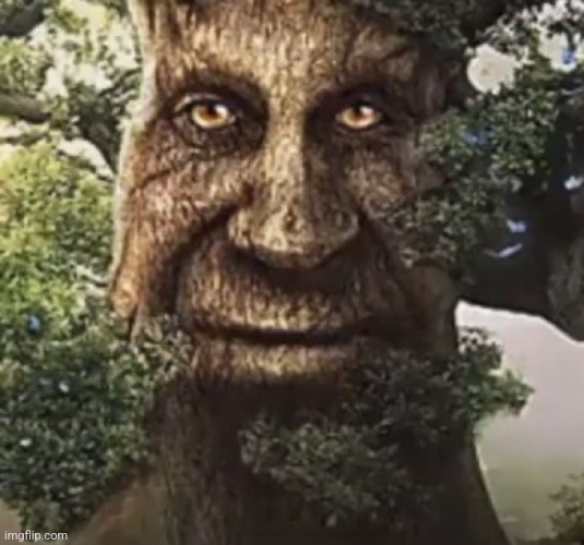 Wise Old Mystical Tree | image tagged in wise old mystical tree | made w/ Imgflip meme maker