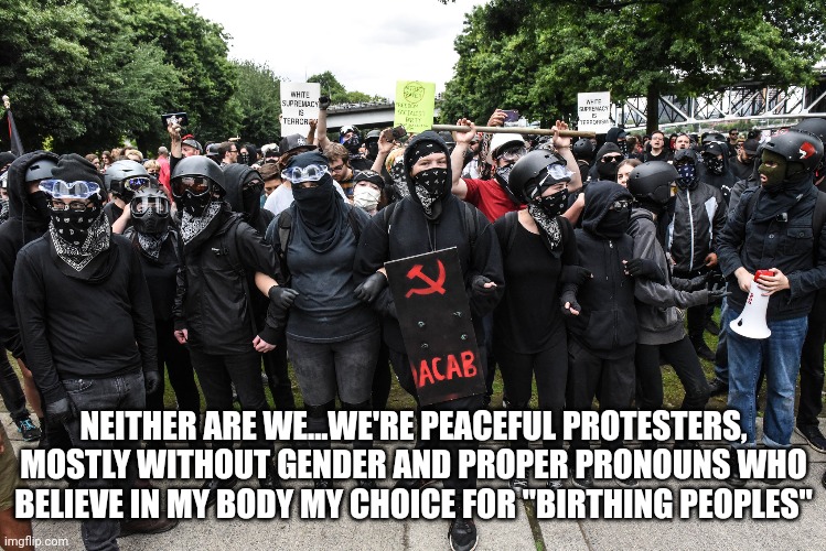 NEITHER ARE WE...WE'RE PEACEFUL PROTESTERS, MOSTLY WITHOUT GENDER AND PROPER PRONOUNS WHO BELIEVE IN MY BODY MY CHOICE FOR "BIRTHING PEOPLES | made w/ Imgflip meme maker