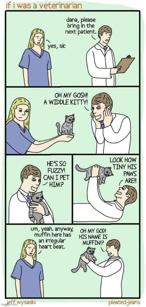 This is so true for me | image tagged in cats,muffin,comics,veterinarian,wholesome,memes | made w/ Imgflip meme maker
