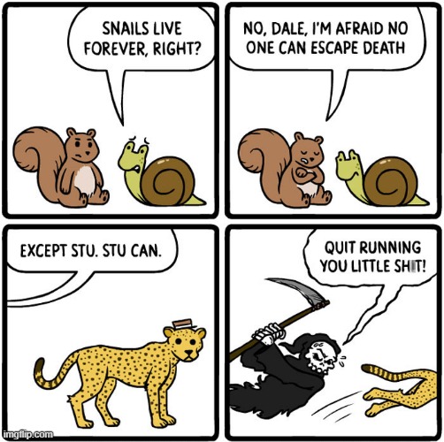 Cheetah Death | image tagged in comics | made w/ Imgflip meme maker