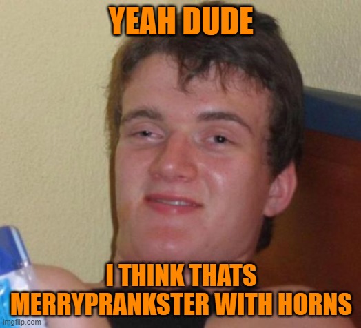 10 Guy Meme | YEAH DUDE I THINK THATS MERRYPRANKSTER WITH HORNS | image tagged in memes,10 guy | made w/ Imgflip meme maker