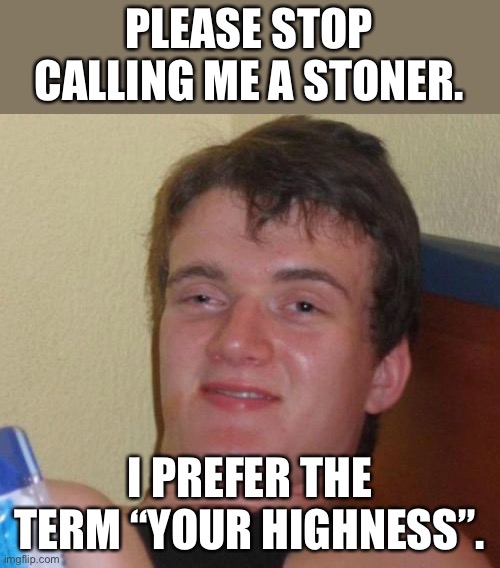 Stoner | PLEASE STOP CALLING ME A STONER. I PREFER THE TERM “YOUR HIGHNESS”. | image tagged in memes,10 guy | made w/ Imgflip meme maker