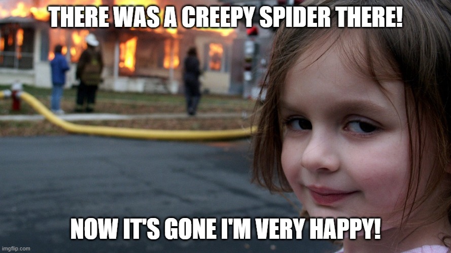 Kid happy when spider is gone! | THERE WAS A CREEPY SPIDER THERE! NOW IT'S GONE I'M VERY HAPPY! | image tagged in funny | made w/ Imgflip meme maker