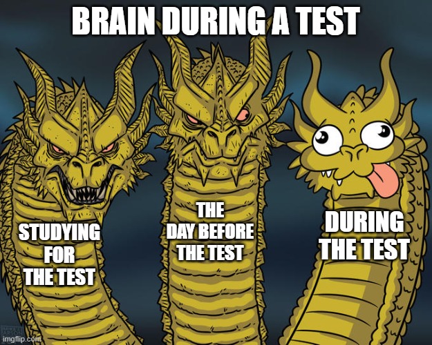 free epic Junket | BRAIN DURING A TEST; THE DAY BEFORE THE TEST; DURING THE TEST; STUDYING FOR THE TEST | image tagged in three-headed dragon | made w/ Imgflip meme maker