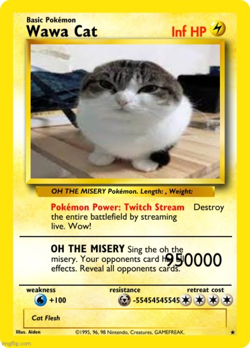Wawa Cat POKEMON | image tagged in wawa cat pokemon | made w/ Imgflip meme maker