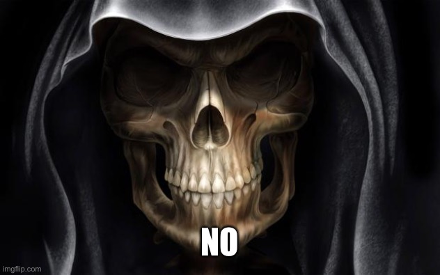 Death Skull | NO | image tagged in death skull | made w/ Imgflip meme maker