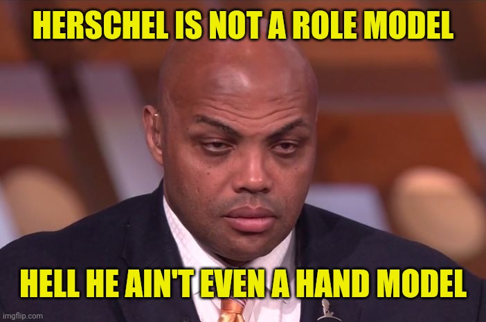 Charles Barkley | HERSCHEL IS NOT A ROLE MODEL HELL HE AIN'T EVEN A HAND MODEL | image tagged in charles barkley | made w/ Imgflip meme maker