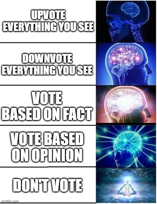 VOTING POWER! | UPVOTE EVERYTHING YOU SEE; DOWNVOTE EVERYTHING YOU SEE; VOTE BASED ON FACT; VOTE BASED ON OPINION; DON'T VOTE | image tagged in expanding brain 5 panel | made w/ Imgflip meme maker