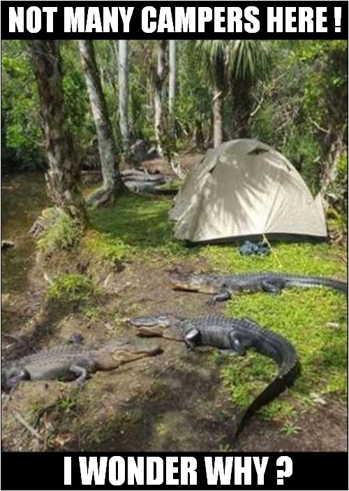 A Quiet Place ! | NOT MANY CAMPERS HERE ! I WONDER WHY ? | image tagged in camping,alligators,a quiet place | made w/ Imgflip meme maker