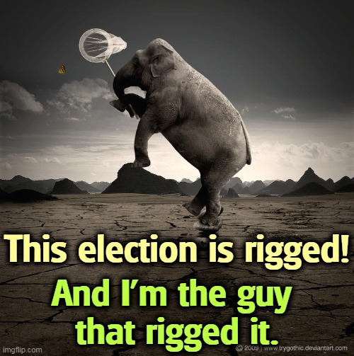 Democrats respect voting. Republicans think it's an inconvenience and do everything they can to undermine it. | This election is rigged! And I'm the guy 
that rigged it. | image tagged in crazy republican elephant with butterfly net,republicans,cheat,rigged elections | made w/ Imgflip meme maker