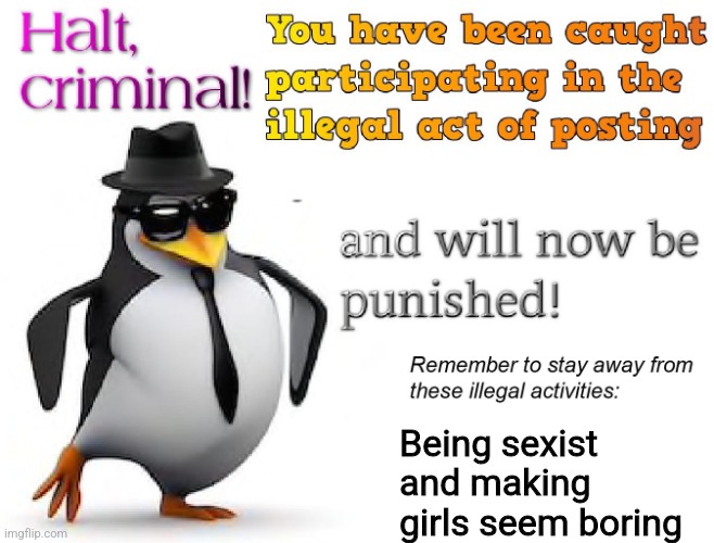 halt criminal! | Being sexist and making girls seem boring | image tagged in halt criminal | made w/ Imgflip meme maker