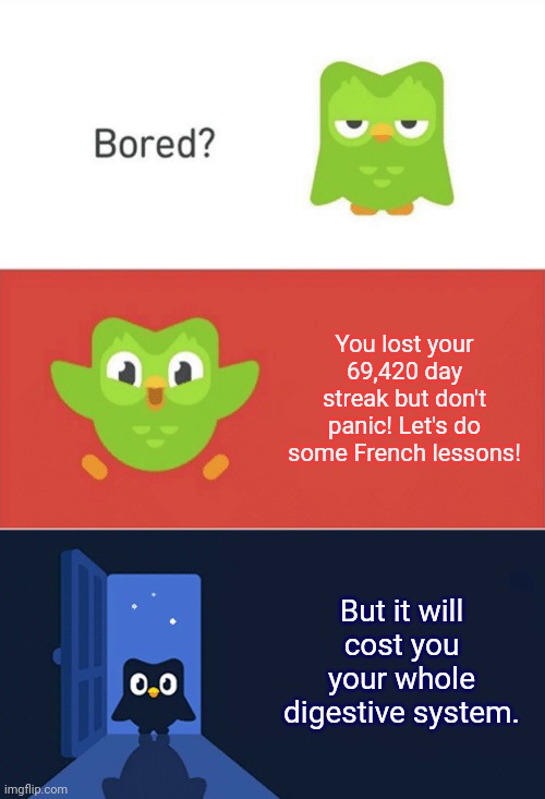 Duo is a savage. | You lost your 69,420 day streak but don't panic! Let's do some French lessons! But it will cost you your whole digestive system. | image tagged in duolingo bored 3-panel | made w/ Imgflip meme maker