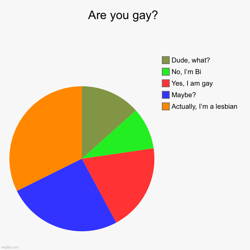 Are you gay? | Are you gay? | Actually, I’m a lesbian, Maybe?, Yes, I am gay, No, I’m Bi, Dude, what? | image tagged in charts,pie charts | made w/ Imgflip chart maker