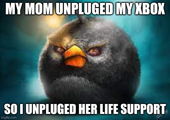 MY MOM UNPLUGED MY XBOX; SO I UNPLUGED HER LIFE SUPPORT | image tagged in stop reading the tags | made w/ Imgflip meme maker