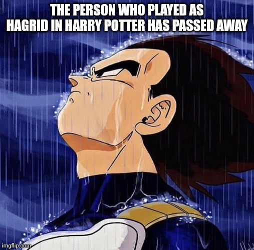 Vegeta | THE PERSON WHO PLAYED AS HAGRID IN HARRY POTTER HAS PASSED AWAY | image tagged in vegeta | made w/ Imgflip meme maker