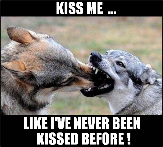 Doggy Romance ! | KISS ME  ... LIKE I'VE NEVER BEEN 
KISSED BEFORE ! | image tagged in dogs,kissing | made w/ Imgflip meme maker