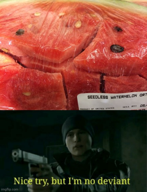 With seeds | image tagged in nice try but i m no deviant,you had one job,memes,watermelon,watermelons,seeds | made w/ Imgflip meme maker