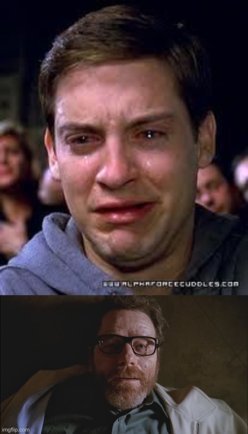 just finished felina, got me ballin | image tagged in crying spiderman | made w/ Imgflip meme maker