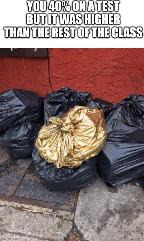 Golden Trash Bag | YOU 40% ON A TEST BUT IT WAS HIGHER THAN THE REST OF THE CLASS | image tagged in golden trash bag | made w/ Imgflip meme maker