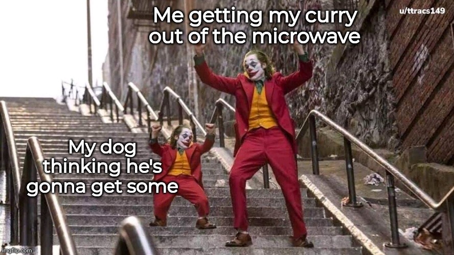 Joker and mini joker | Me getting my curry out of the microwave; My dog thinking he's gonna get some | image tagged in joker and mini joker | made w/ Imgflip meme maker