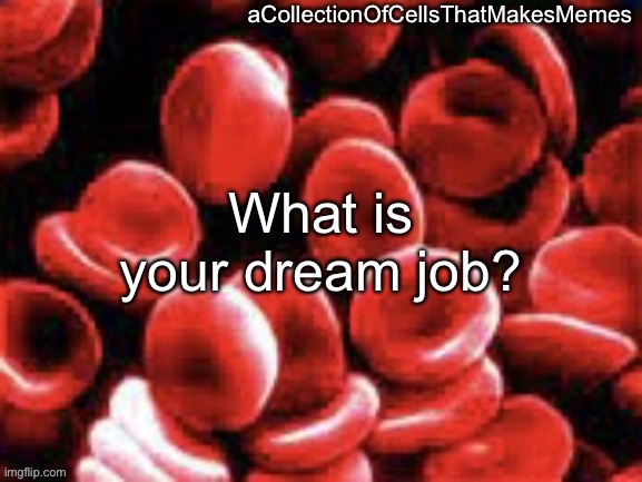 For me, it’s a YouTuber. If I made a living off of my YouTube channel currently, then I’d have the easiest life ever. | What is your dream job? | image tagged in acollectionofcellsthatmakesmemes announcement template | made w/ Imgflip meme maker