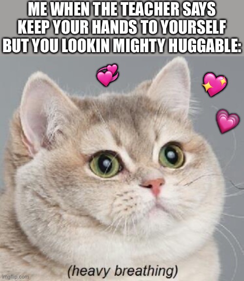 <3 | ME WHEN THE TEACHER SAYS KEEP YOUR HANDS TO YOURSELF BUT YOU LOOKIN MIGHTY HUGGABLE:; 💞; 💖; 💗 | image tagged in memes,heavy breathing cat,wholesome | made w/ Imgflip meme maker