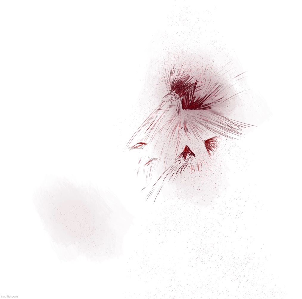 The blood layer | made w/ Imgflip meme maker