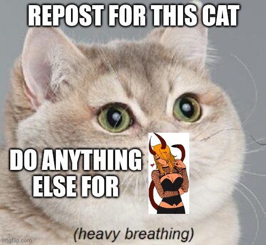 Heavy Breathing Cat | REPOST FOR THIS CAT; DO ANYTHING ELSE FOR | image tagged in memes,heavy breathing cat | made w/ Imgflip meme maker