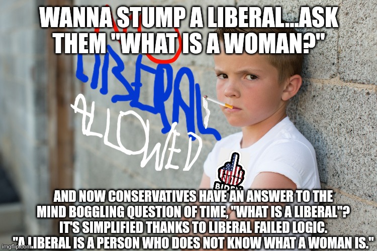 What is a liberal? | WANNA STUMP A LIBERAL...ASK THEM "WHAT IS A WOMAN?"; AND NOW CONSERVATIVES HAVE AN ANSWER TO THE MIND BOGGLING QUESTION OF TIME, "WHAT IS A LIBERAL"? IT'S SIMPLIFIED THANKS TO LIBERAL FAILED LOGIC. "A LIBERAL IS A PERSON WHO DOES NOT KNOW WHAT A WOMAN IS." | image tagged in liberal logic,stupid liberals,conservative logic,gender confusion,gender identity | made w/ Imgflip meme maker