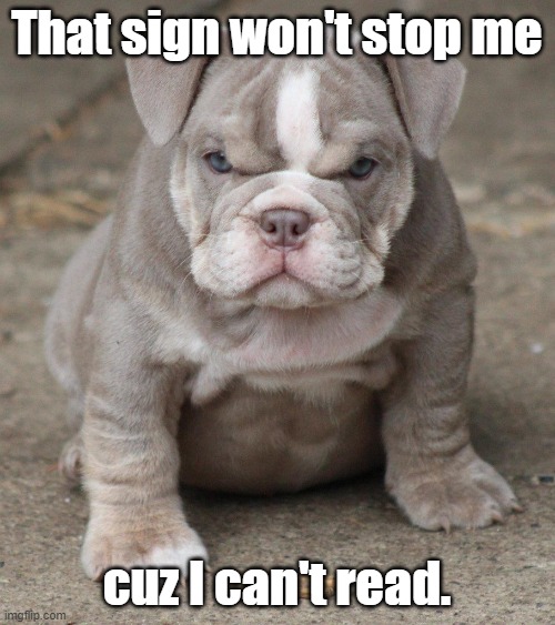 That sign won't stop me cuz I can't read. | made w/ Imgflip meme maker