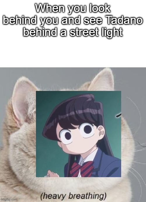 Yeet | When you look behind you and see Tadano behind a street light | image tagged in memes,heavy breathing cat | made w/ Imgflip meme maker