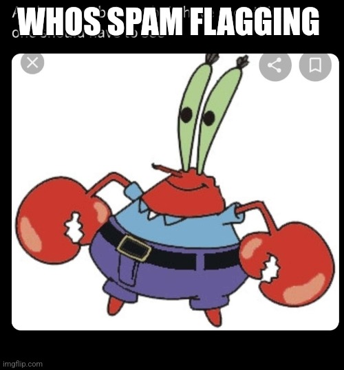 Mr krabs no one should see | WHOS SPAM FLAGGING | image tagged in mr krabs no one should see | made w/ Imgflip meme maker