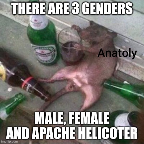Anatoly. | THERE ARE 3 GENDERS; MALE, FEMALE AND APACHE HELICOTER | image tagged in anatoly | made w/ Imgflip meme maker