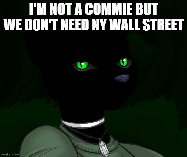 My new panther fursona | I'M NOT A COMMIE BUT WE DON'T NEED NY WALL STREET | image tagged in my new panther fursona | made w/ Imgflip meme maker