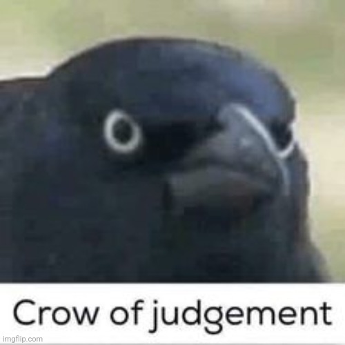 Crow of judgement | image tagged in crow of judgement | made w/ Imgflip meme maker