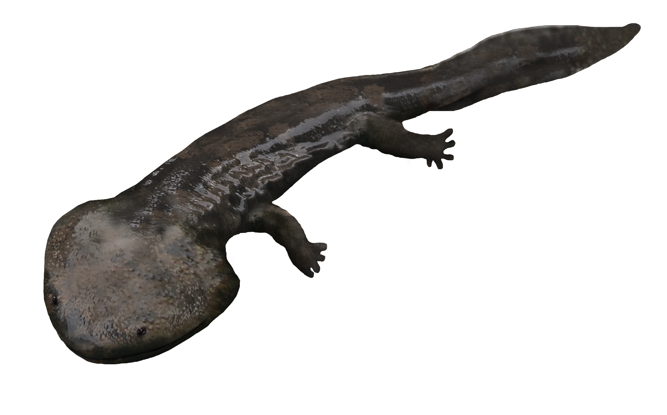 Koolasuchus Blank Meme Template