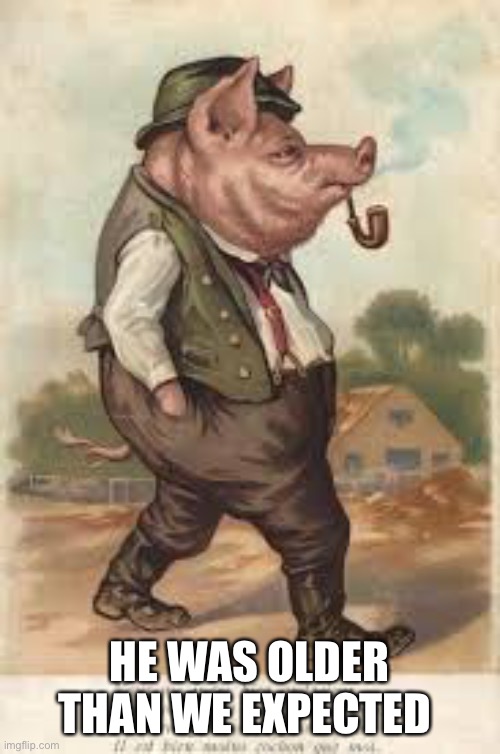 Old painting of a smartly dressed pig smoking a pipe | HE WAS OLDER THAN WE EXPECTED | made w/ Imgflip meme maker